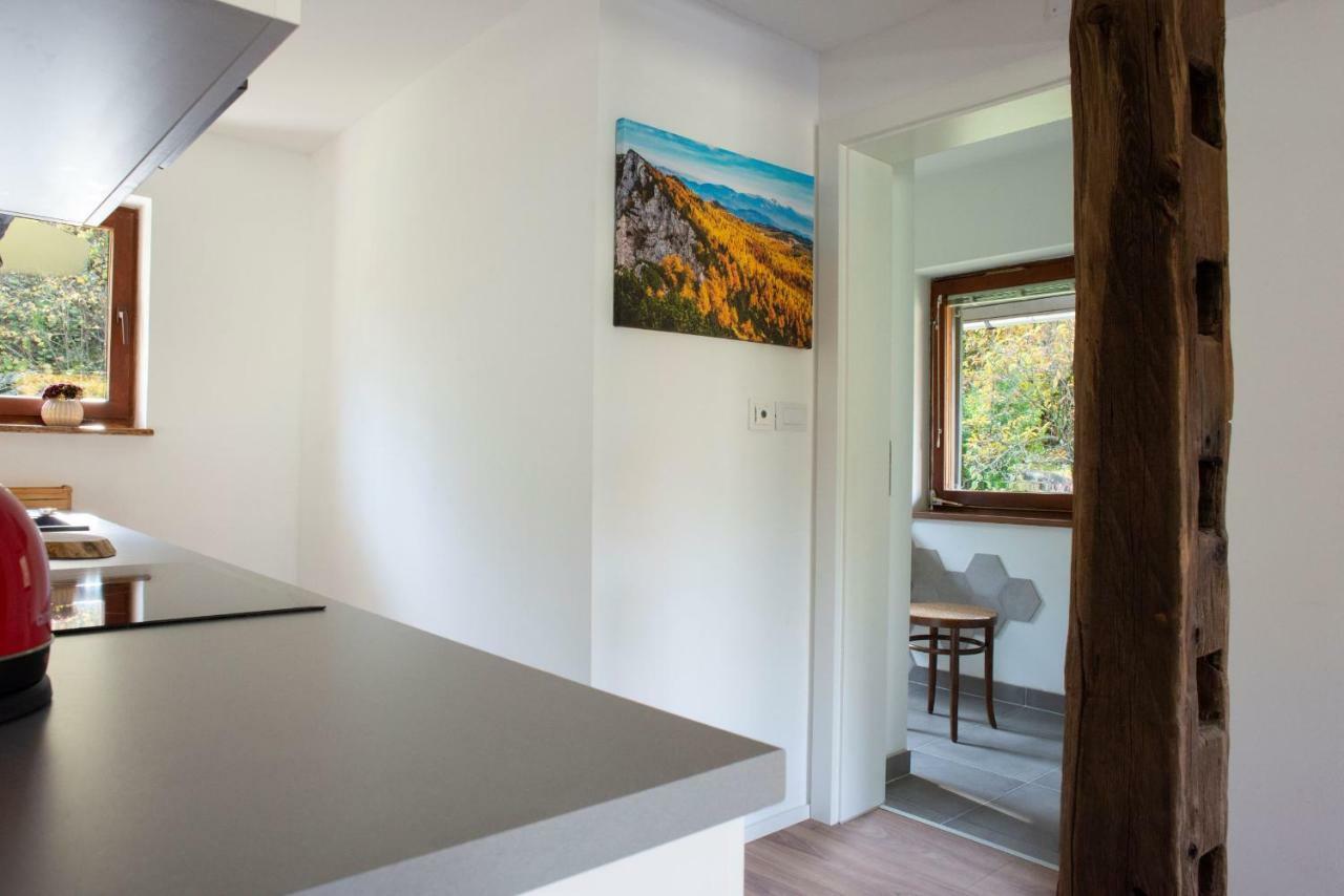 Villa Woodywood House Bohinj à Polje Extérieur photo